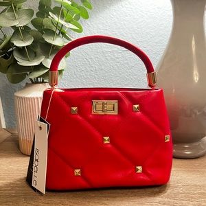 NWT Mini Handbag + crossbody strap